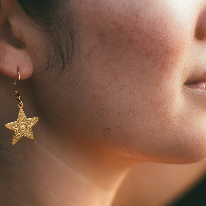 Small Star Earrings