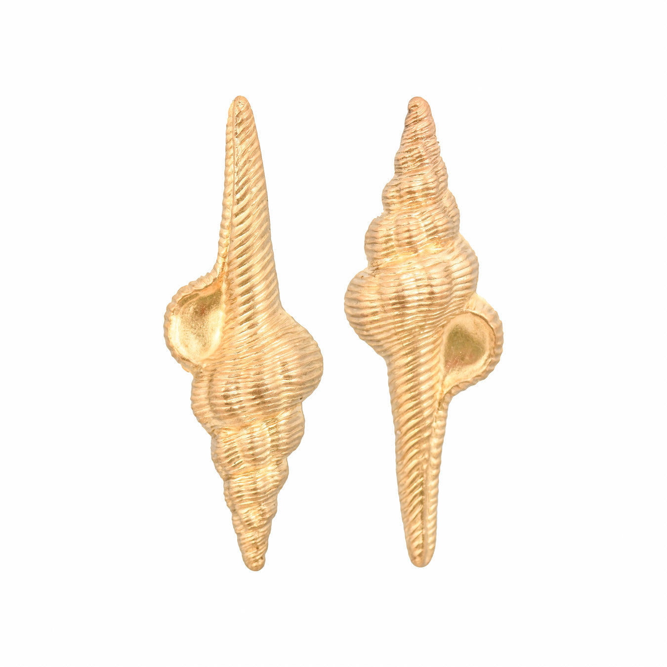 We Dream In Colour Round Shell Earrings main image 1